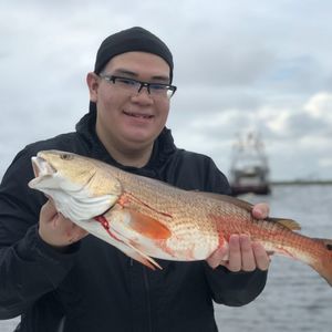 Meet your Posher, Oscar